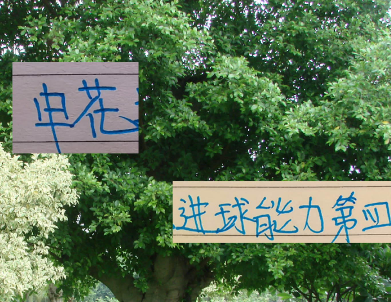 app下载-申花进球能力中超第四 但外援没一个进射手前10 真是内援带外援踢